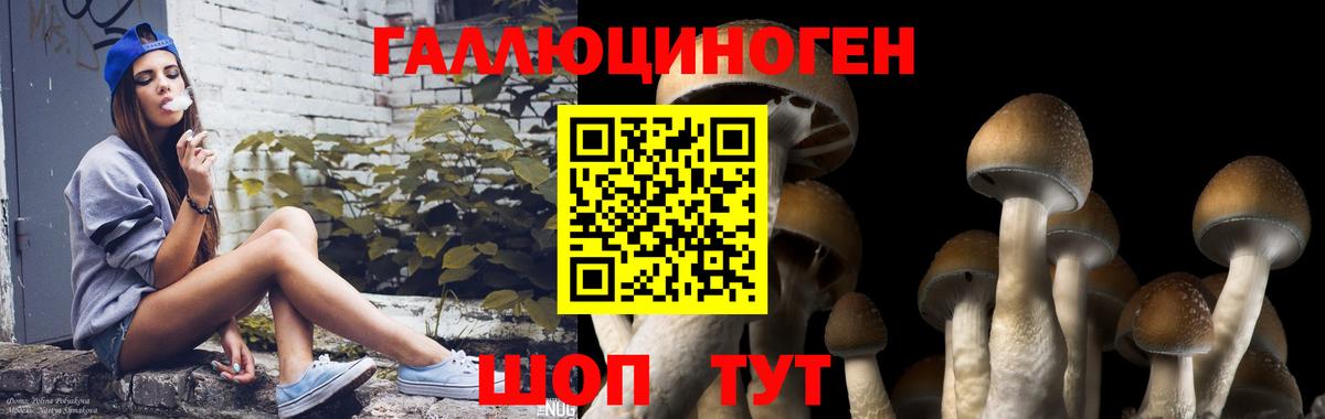 Псилоцибиновые грибы ЛСД  Вход с VPN  сколько стоит  Вязники 